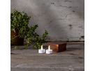 Luce da tè a LED 2 set Paulo - Indoor, weiss, mit Timerfunktion, D=4cm, H=4cm