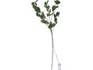 Girlande Eucalyptus - IP20, Warmweiss, 15 LED