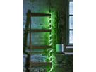 Rope Light Flat Neon - IP44, Grün, 480 LED's