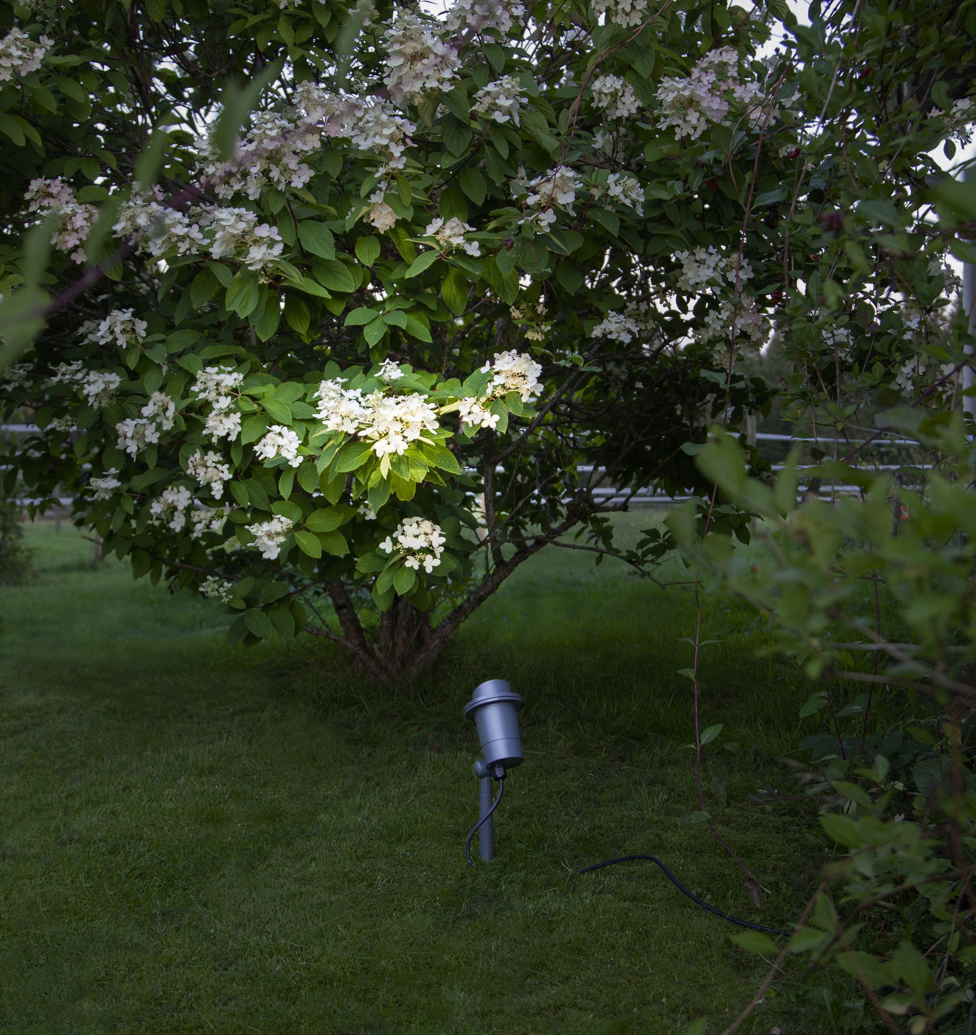 Outdoor Decoration Spotlight Focus - IP44, GU10, Schwarz