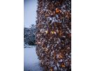 Netzlichterkett Shiny - IP44, Warmweiss, 200 LED's, 300.00 cm