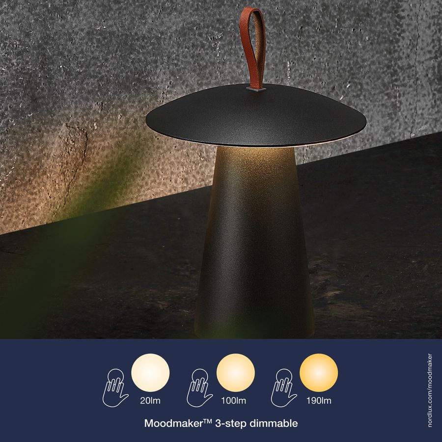 Ara to Go, Schwarz - LED Modul, 2W ,IP54