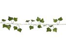 Lichterkette Ivy - IP20, Warmweiss,Grün