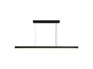 Skylar, Pendelleuchte, Schwarz - IP20, LED Modul