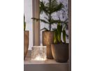 Indoor Decoration Frost - IP20, Warmweiss,Weiss