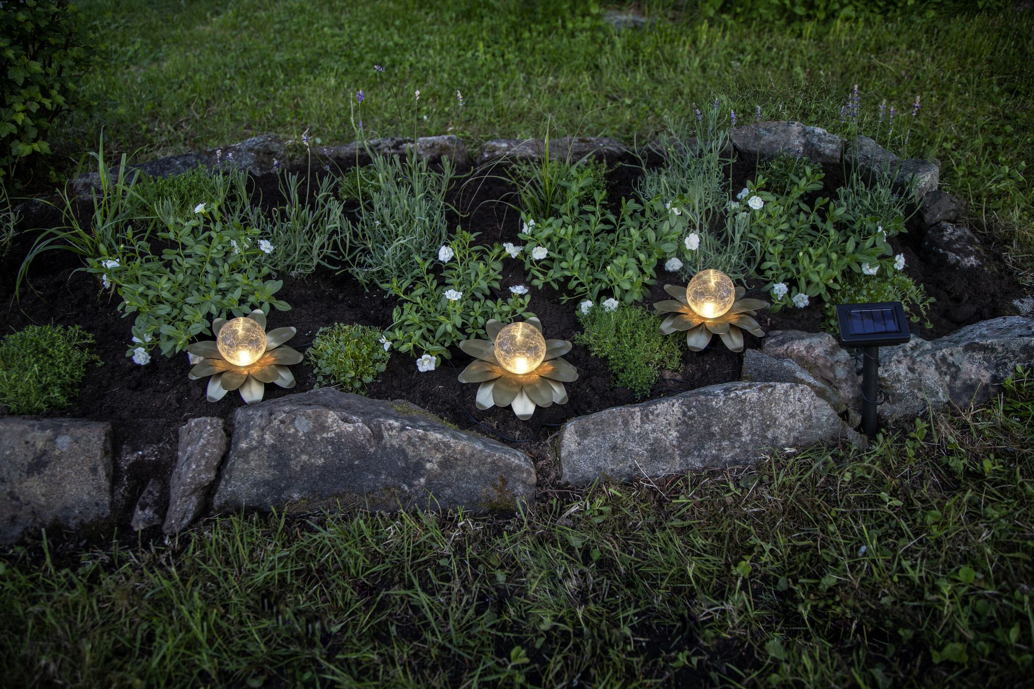 Solar Decoration Lilly - Warmweiss, IP44, Gold