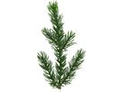 Weihnachtsbaum mit LED Malung - Outdoor, Grün, 240 LED