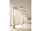 Alba Pro 40 - 24W, 2700K, IP20, 230V