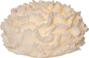 Outdoor Dekoration Sandy Coral - Indoor, Weiss, 16.50cm Höhe