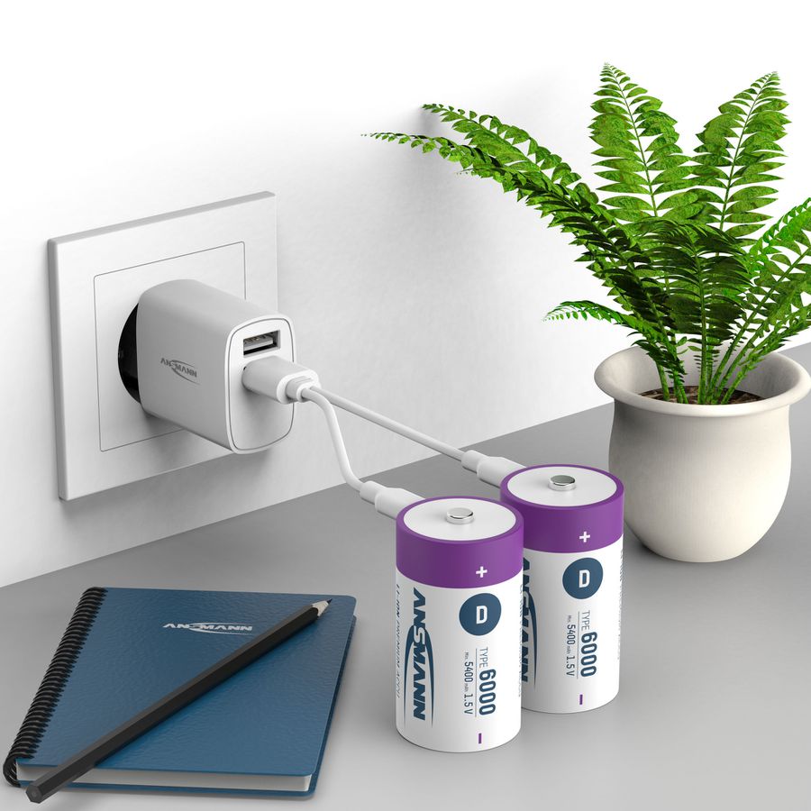 NiMH pile rechargeable Micro AAA 550mAh, 2er blister - 2er Kartonage