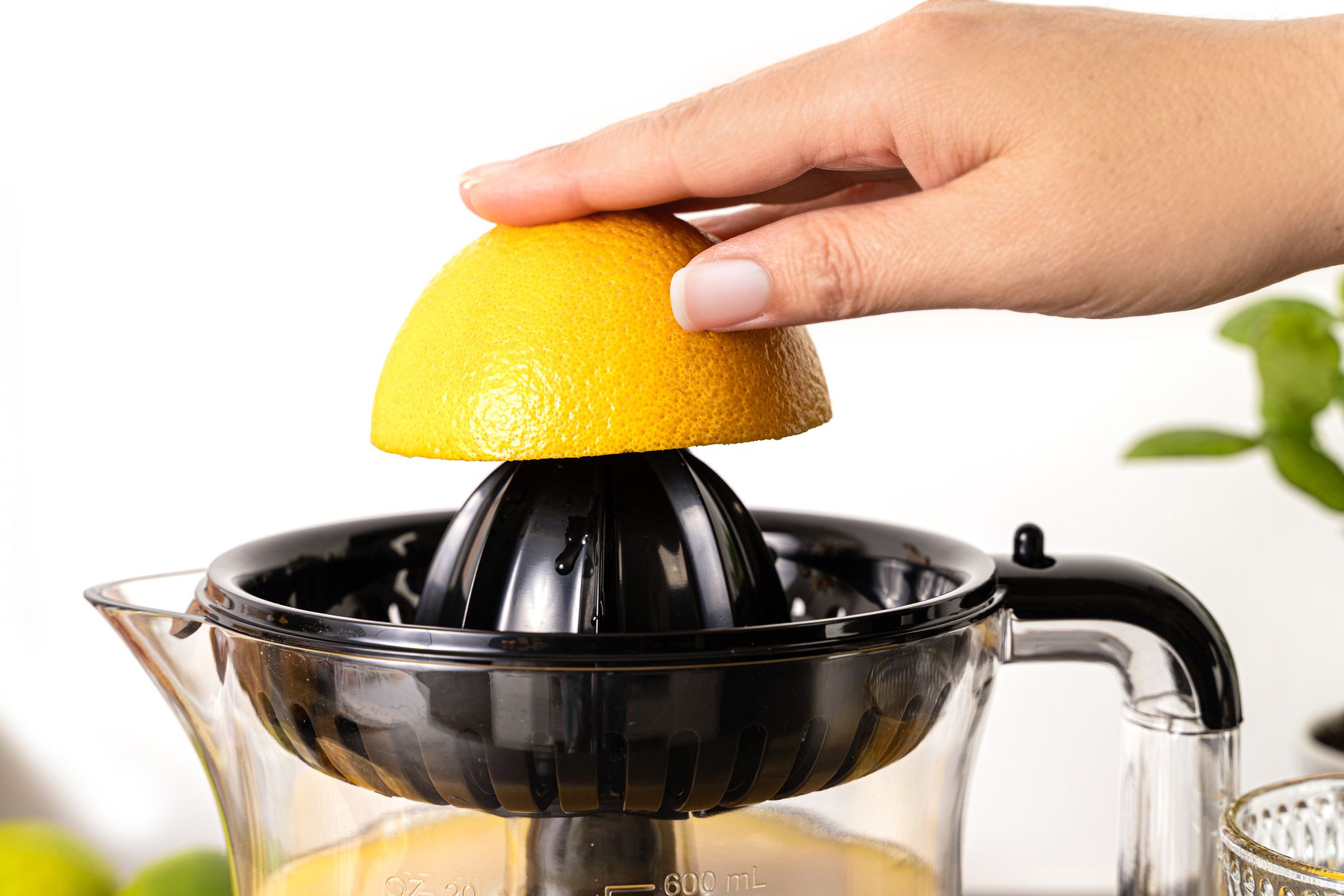 ZITRUSPRESSE ZP 50 - Zitruspresse, Edelstahl/schwarz, 30W