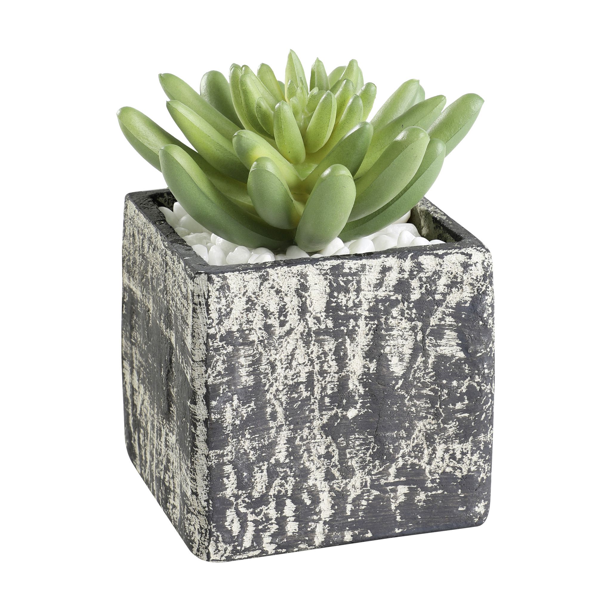 PFLANZE IM TOPF 75X75X120 H-GRAU/GRÜN - PFLANZE IM TOPF 75X75X120 H-GRAU/GRÜN