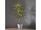 Decorativer Baum Bali - Indoor, Warmweiss, Grün