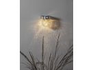 Solar Wand Laterne Glory - Transparent, Lichtfarbe Warmweiss