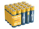 Alkaline X-POWER AA/LR6 - 20er Karton-Blister