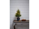 Dekorativer Baum THUJA - IP20, Warmweiss, 40 LED