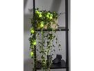 Lichterkette Polly Batteriebetrieben - IP20, Warmweiss, 10 LED's, 90cm