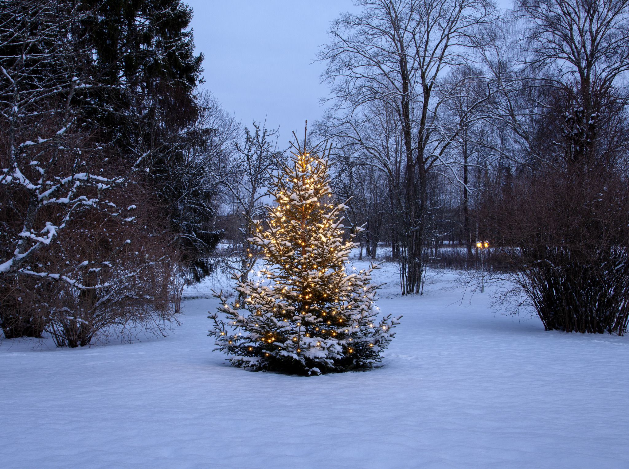 Christmas Tree Light Shiny - IP44, Warmweiss, 360 LED's, 200 cm