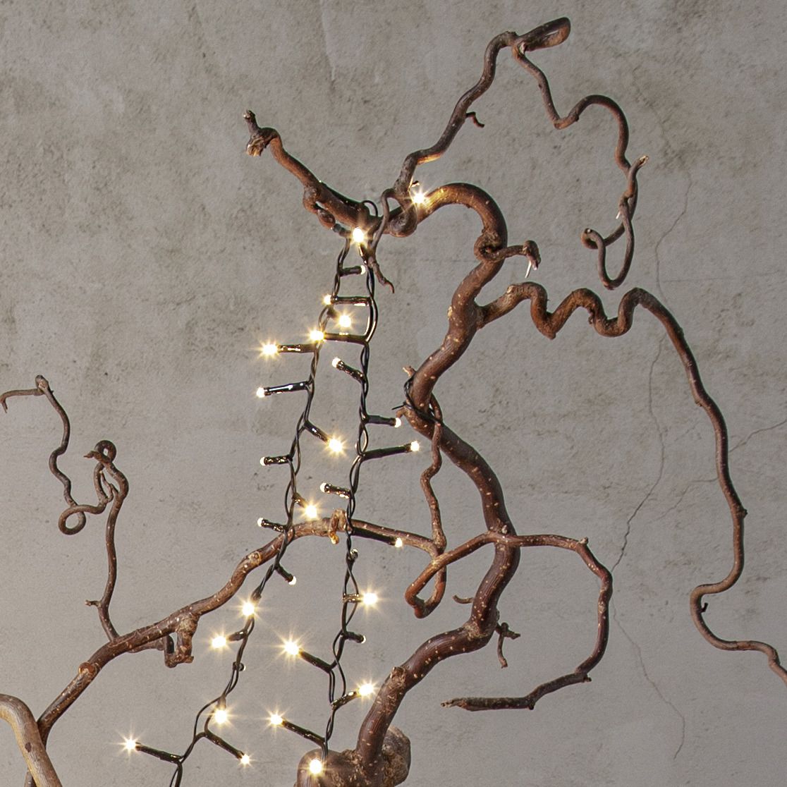 Lichterkette Shiny Warm White - Indoor, Outdoor, Warmweiss, Schwarz