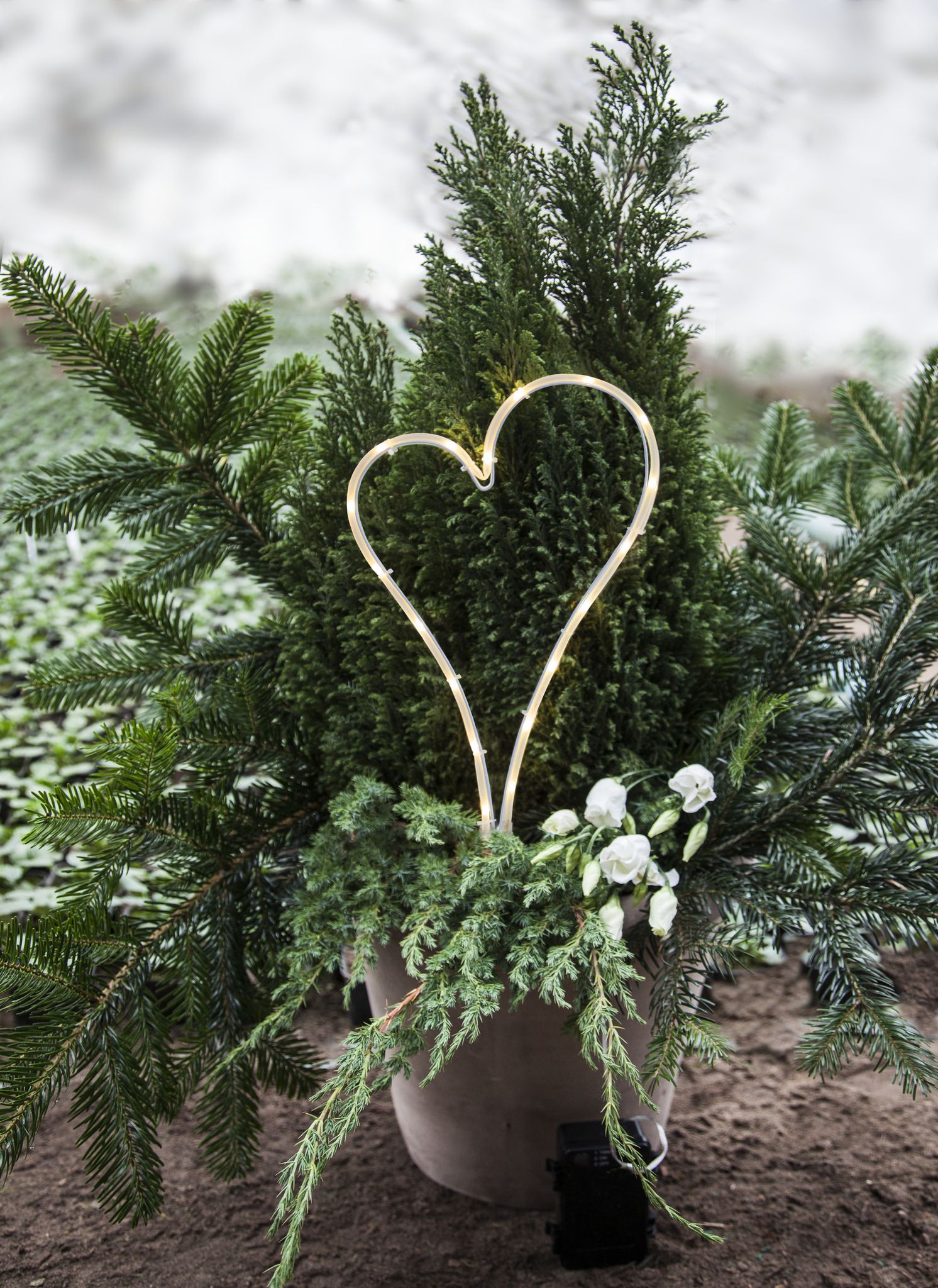 LED Licht Herz - Outdoor, Weiss, 39cm Höhe, Timerfunktion