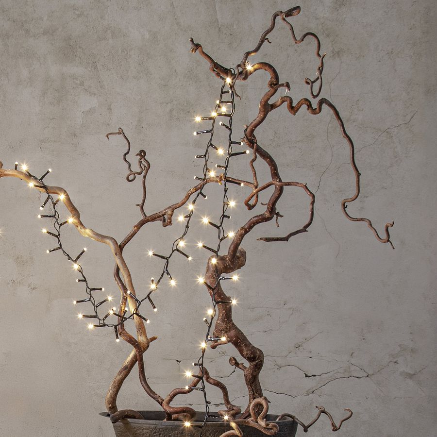 Lichterkette Shiny Warm White - Indoor, Outdoor, Warmweiss, Schwarz