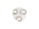 Spotlight Pitcher 3-Rondel - 3x50W, GU10, IP20