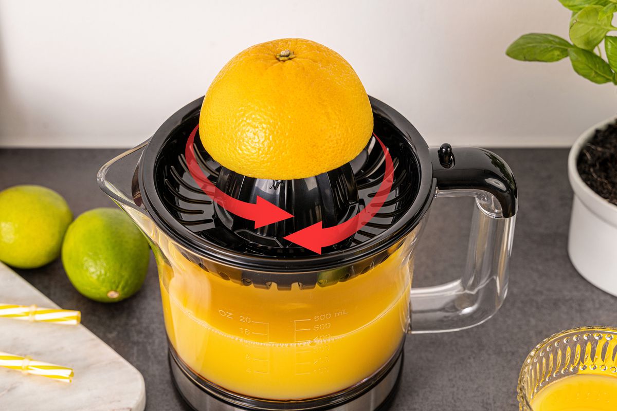 ZITRUSPRESSE ZP 50 - Zitruspresse, Edelstahl/schwarz, 30W