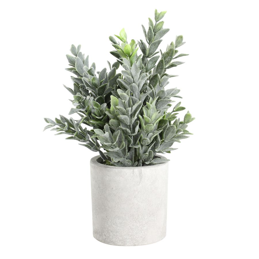 PFLANZE IM TOPF Ø160 H-220 GRAU/GRÜN - PFLANZE IM TOPF Ø160 H-220 GRAU/GRÜN