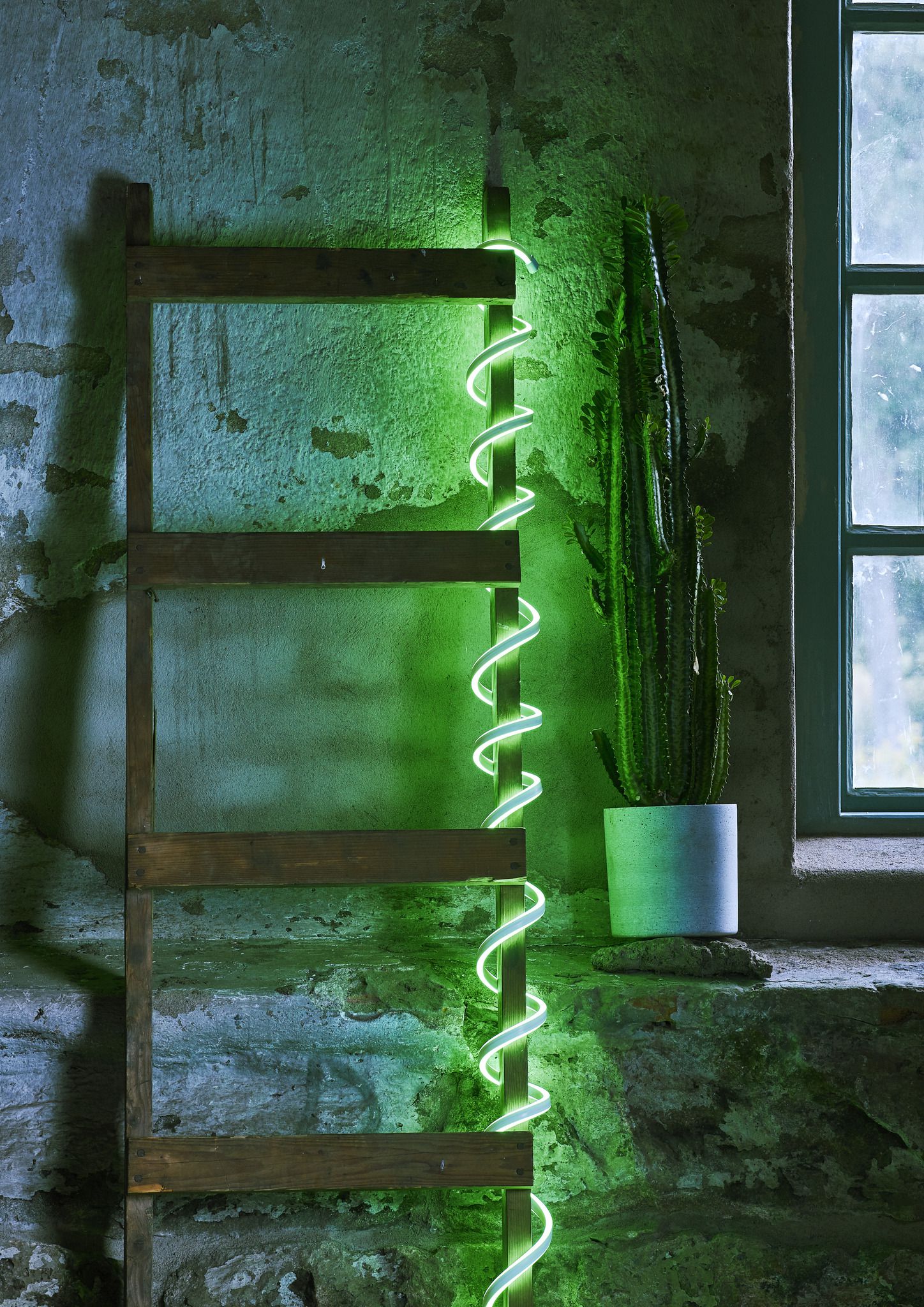Rope Light Flat Neon - IP44, Grün, 480 LED's