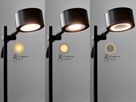 Clyde, Stehleuchte, Schwarz - LED Modul, 11W, IP20