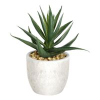 PFLANZE IM TOPF 100X110X155 BRAUN/GRÜN - PFLANZE IM TOPF 100X110X155 BRAUN/GRÜN