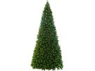 Weihnachtsbaum  Colorado - Grün, keine Lämpchen, 500cm Höhe