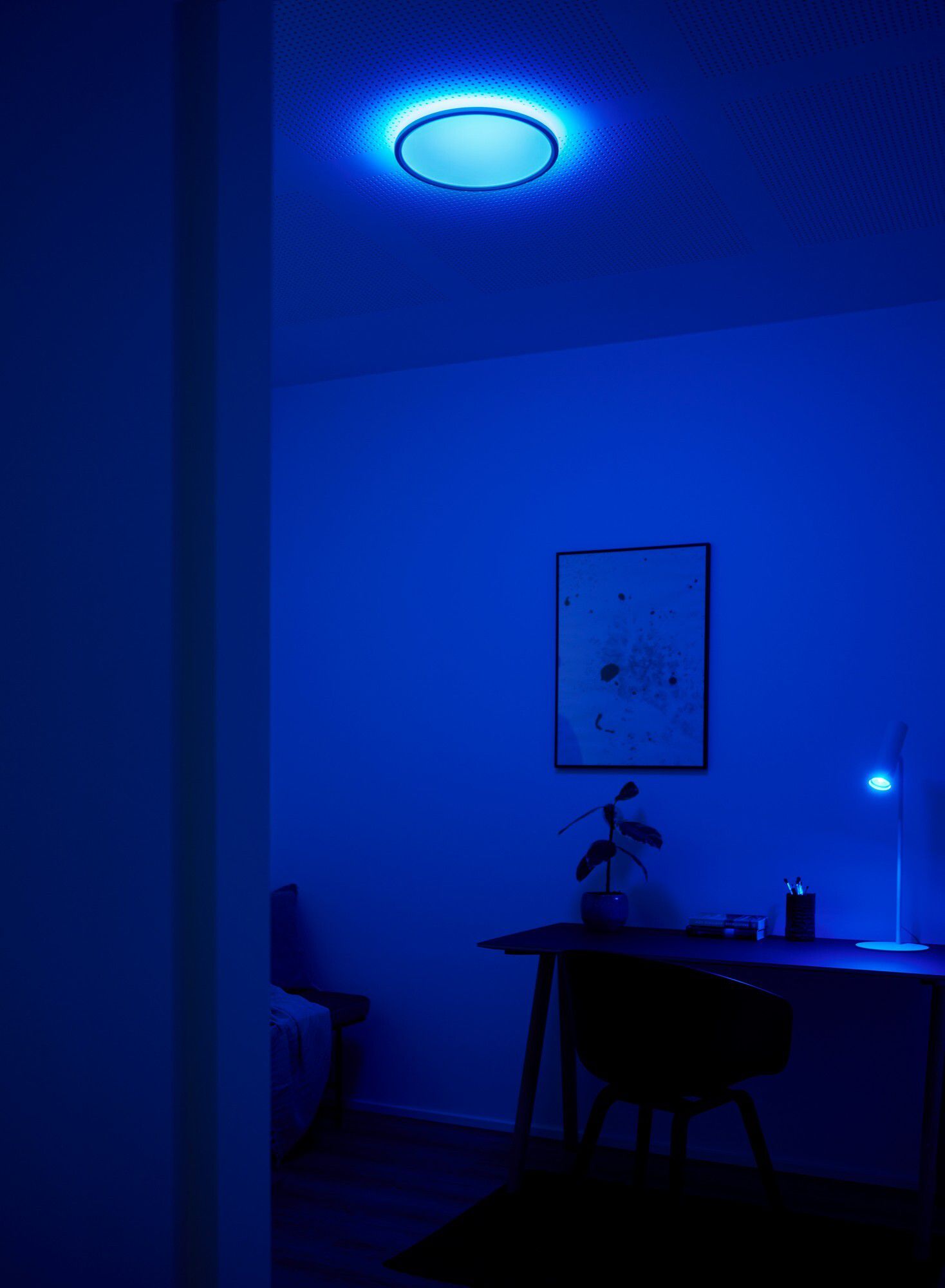 Liva Smart, Deckenleuchte, RGB, Schwarz - 20W ,2700-6500K, IP54