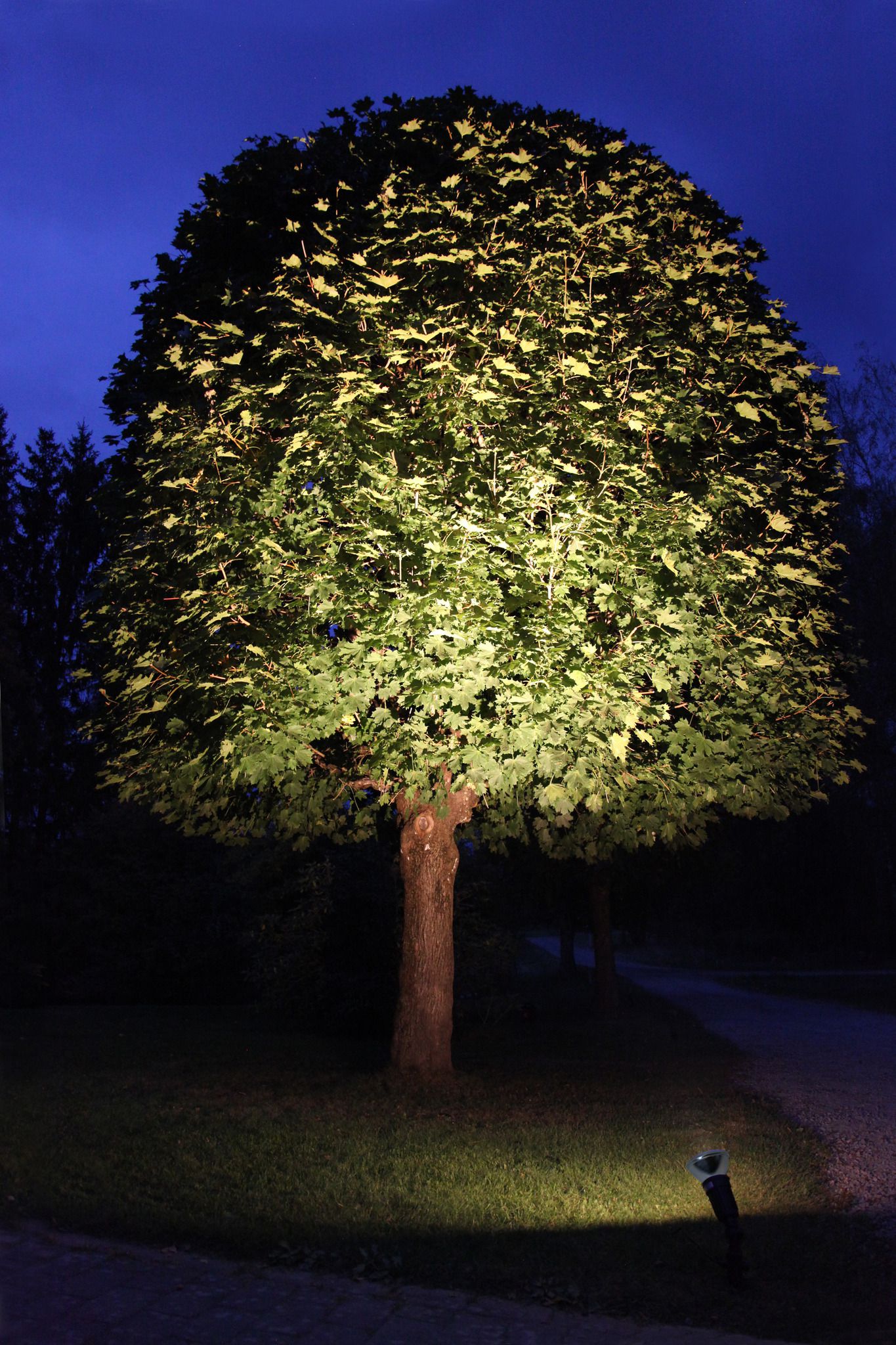 LED Leuchtmittel E27 PAR38 Spotlight Outdoor - E27, 1150Lm, 2700K, 15W, 220-240VAC