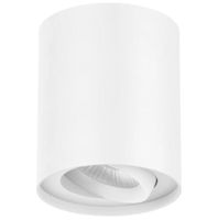 LED Anbauleuchte SKYDRIVER R (2700K) - 10W, 750lm, 2700K ,IP20, CRI 90, 36°, UGR<19, weiss, dimmbar, D=90mm, H=108mm