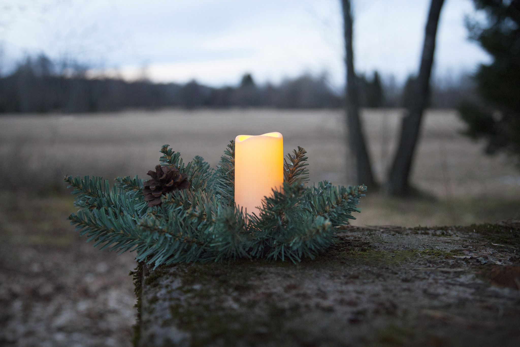 Bougie de tombe LED Serene - Outdoor, Grün, 12cm Höhe, Timerfunktion