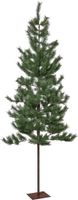 Weihnachtsbaum Tallis - Indoor, Grün, 200.00cm Höhe