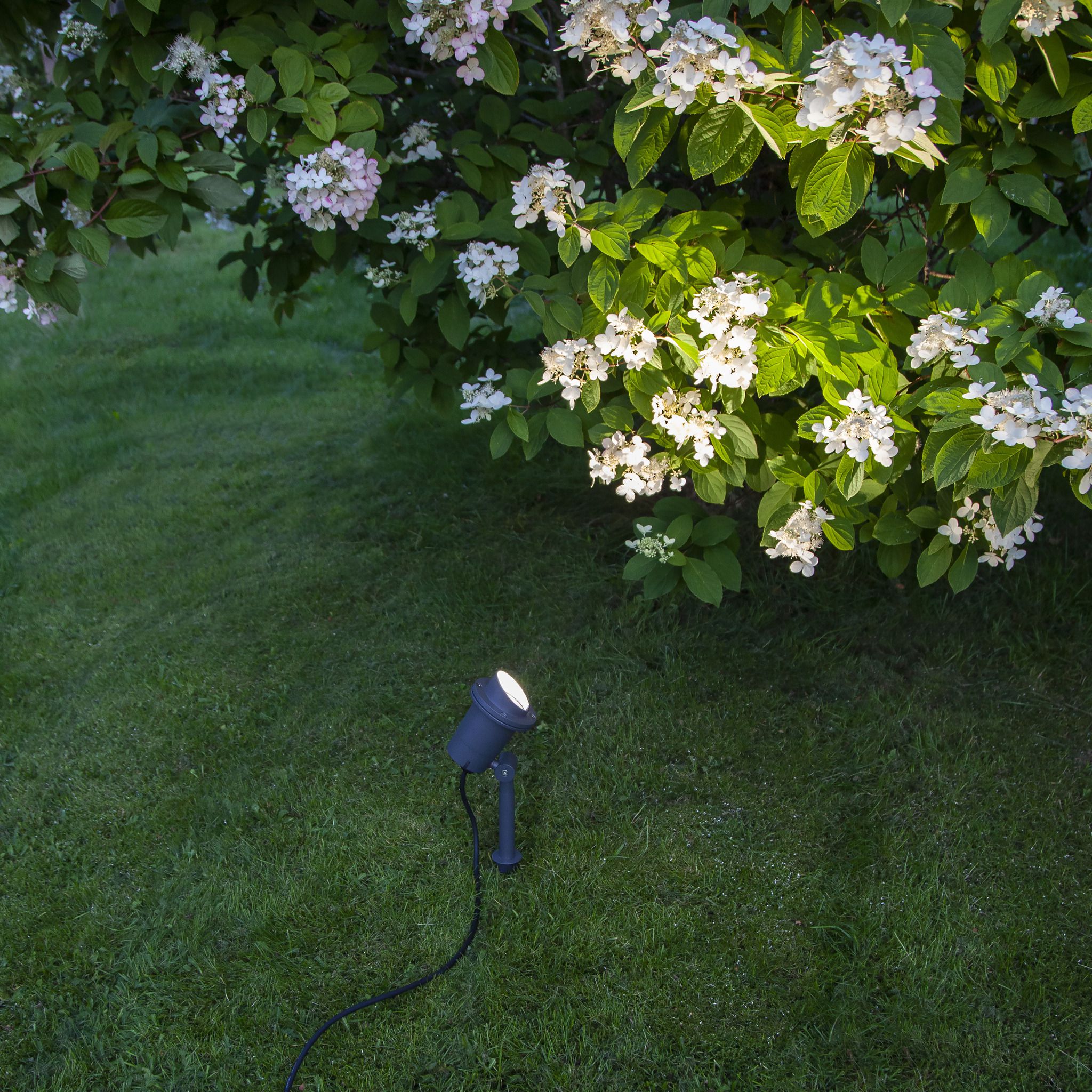 Outdoor Decoration Spotlight Focus - IP44, GU10, Schwarz