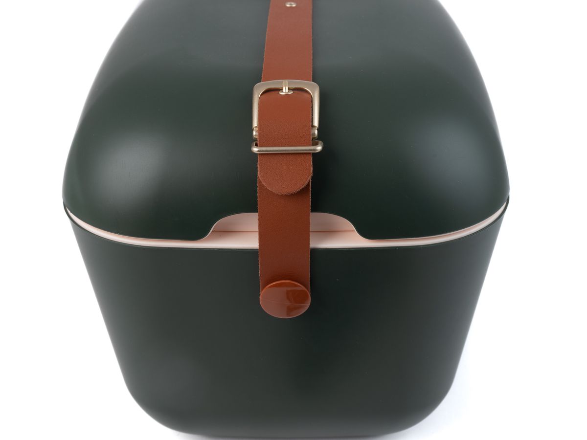 Polarbox Retro Cooler Waldgrün - Gold 20l - Kühlbox, 20l, Vintage Design