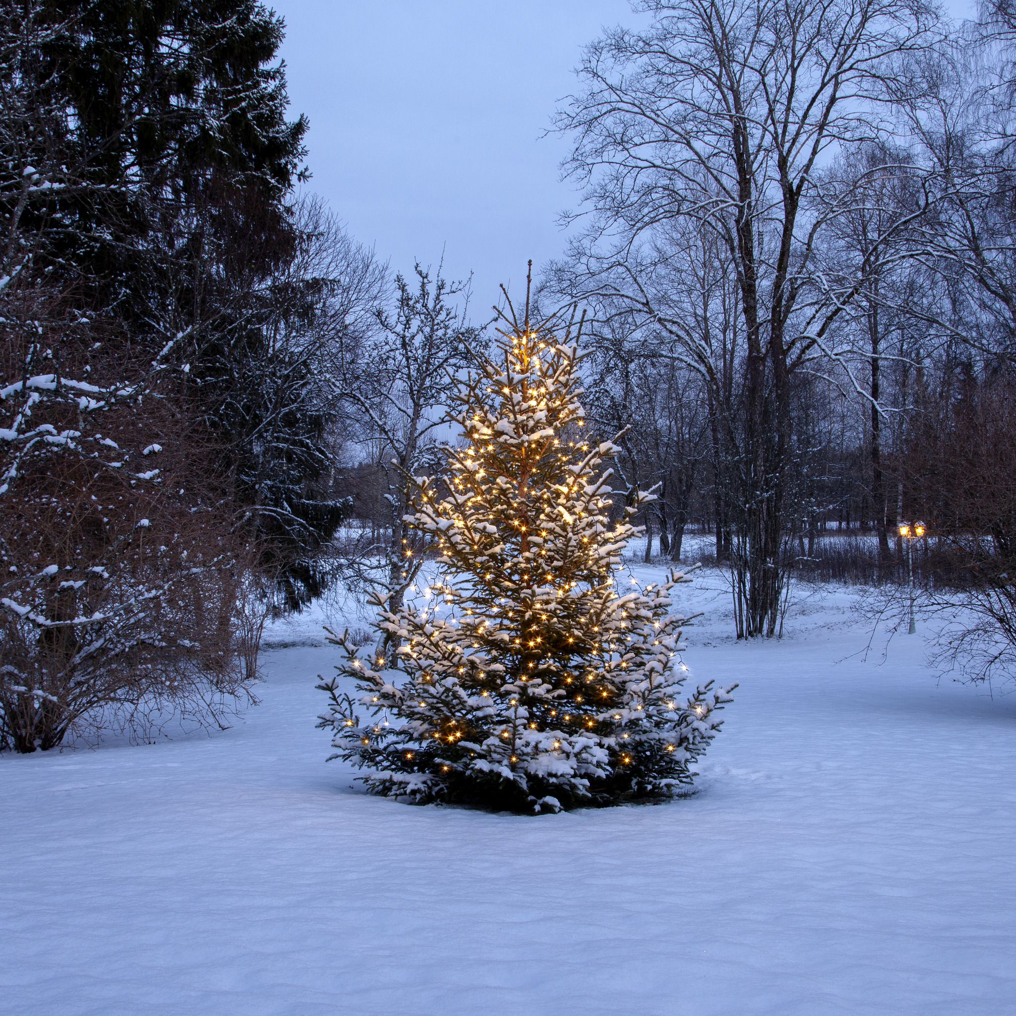 Christmas Tree Light Shiny - IP44, Warmweiss, 360 LED's, 200 cm