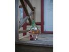Solar Decoration Gnomy - Warmweiss, IP44, Multicolor