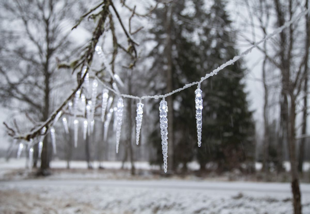 Eiszapfen-Lichterkette Gelido - IP44, Transparent, Kaltweiss