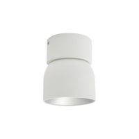 Spotlight Pitcher - 50W, GU10, IP20