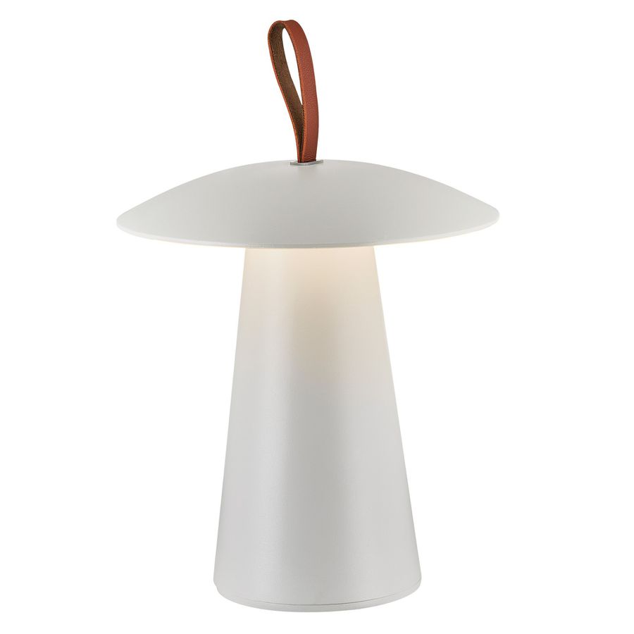 Ara to Go, Weiss - LED Modul, 2W ,IP54
