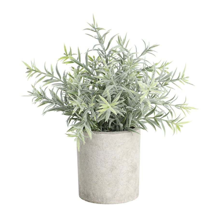 PFLANZE IM TOPF Ø160 H-240 GRAU/GRÜN - PFLANZE IM TOPF Ø160 H-240 GRAU/GRÜN