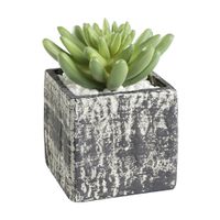 PFLANZE IM TOPF 75X75X120 H-GRAU/GRÜN - PFLANZE IM TOPF 75X75X120 H-GRAU/GRÜN