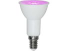 LED Leuchtmittel E14 PAR16 Pflanzen - E14, 121lm,3.5W, 230V