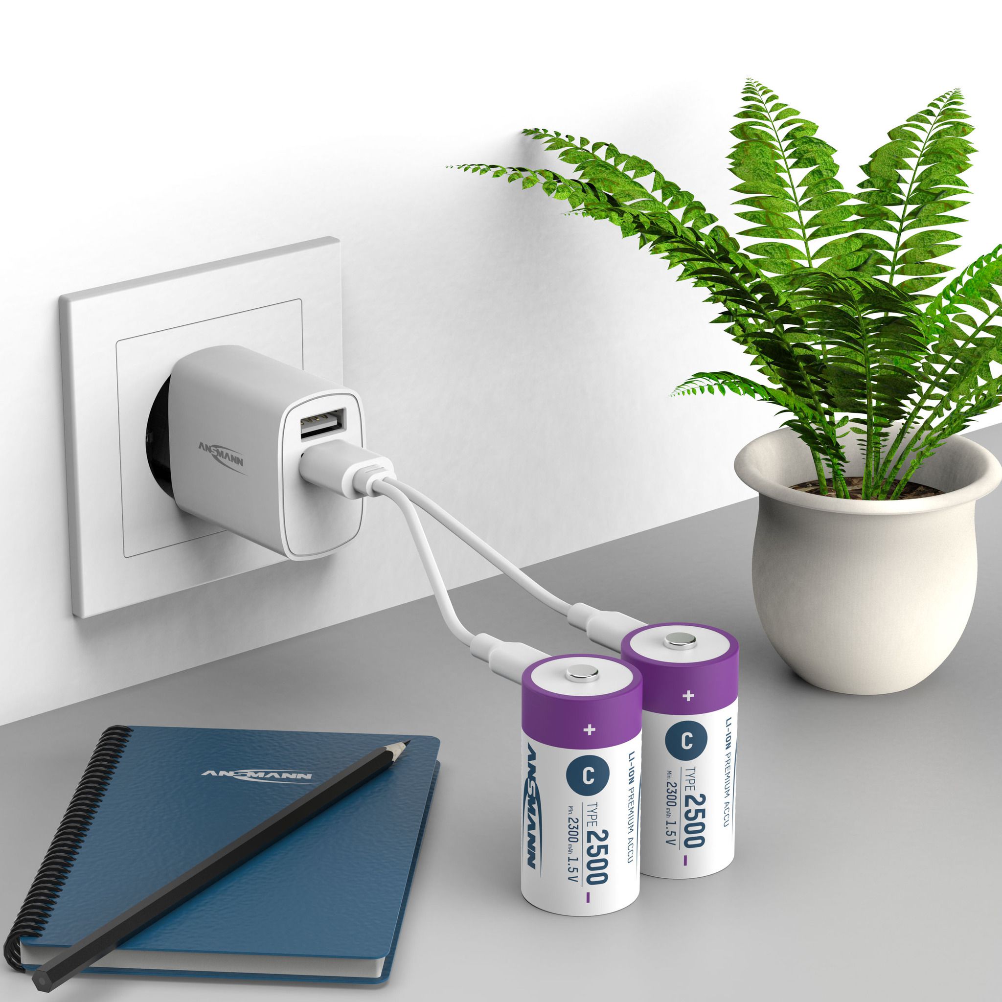 NiMH batteria ricaricabile Micro AAA 550mAh, 2er blister - 2er Kartonage