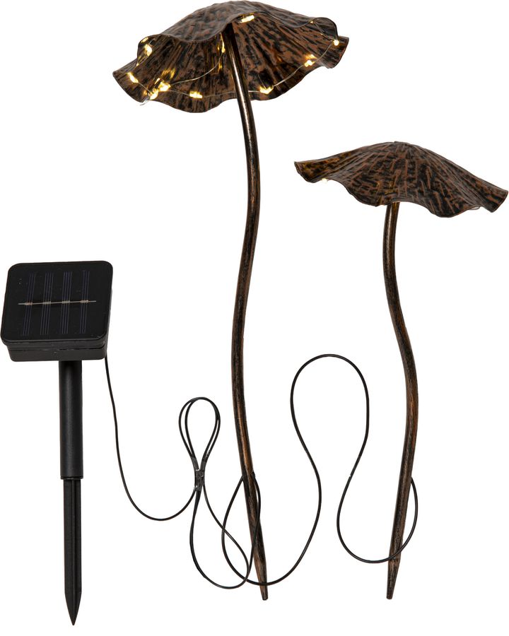 Solar Dekoration Lumini - 50cm