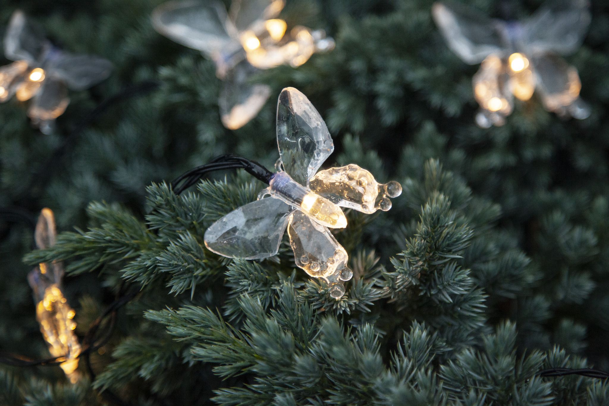 Solar Lichterkette Papillon - IP44, Warmweiss, Dämmerungssensor